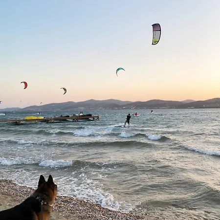 Sunny House * Πούντα